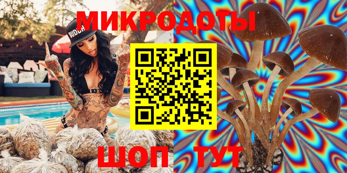 Галлюциногенные грибы MAGIC MUSHROOMS  Вход с VPN  Борзя 